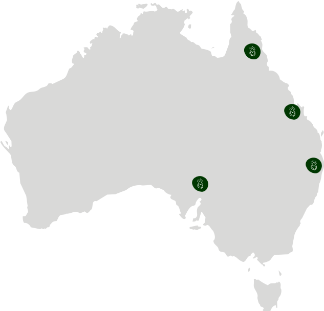 Lovacado Map